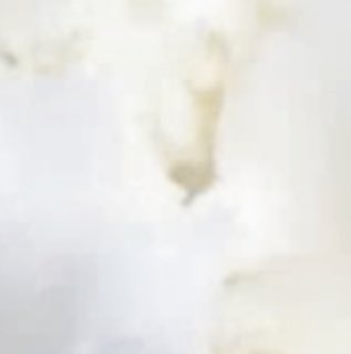  shea butter trio image 1